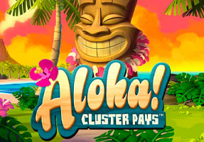 Aloha! Christmas